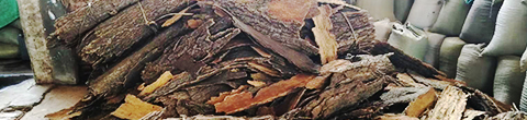 软木原材料栓皮栎