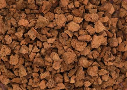 为什么软木颗粒能够成为制造软木地板的首选材料