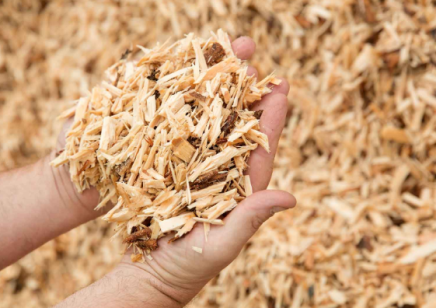 木材纤维对软木制品性能影响的6个关键变化